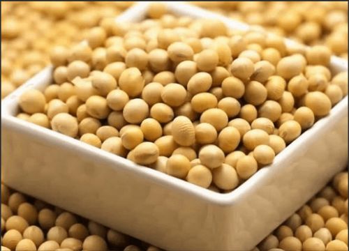 What are the benefits of soy isoflavones?