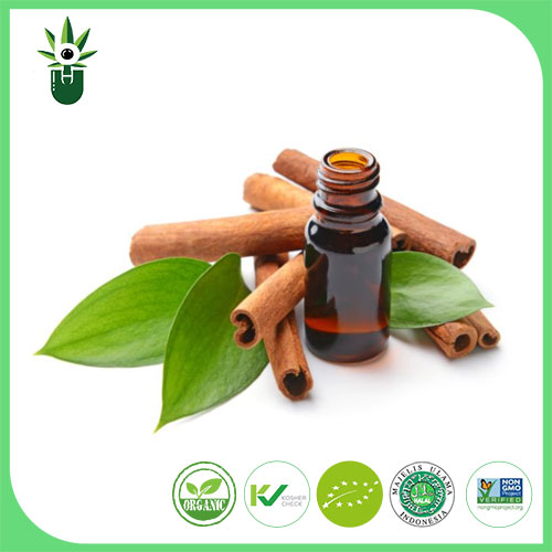 Cinnamon Extract