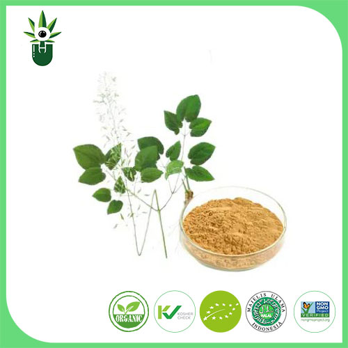 Epimedium Extract