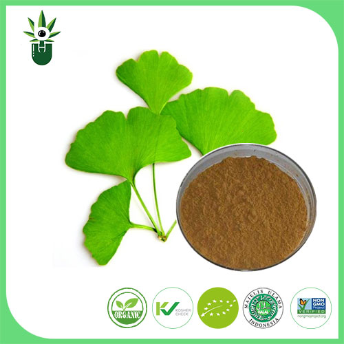 Ginkgo Biloba Extract