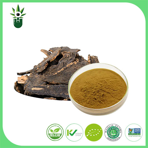 What Are the Antioxidant Properties of Scrophularia Ningpoensis Hemsl Extract?