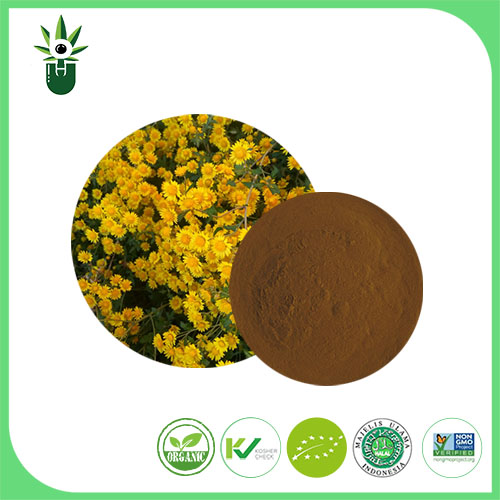 What are the traditional uses of Wild Chrysanthemum Extract in Chinese medicine?