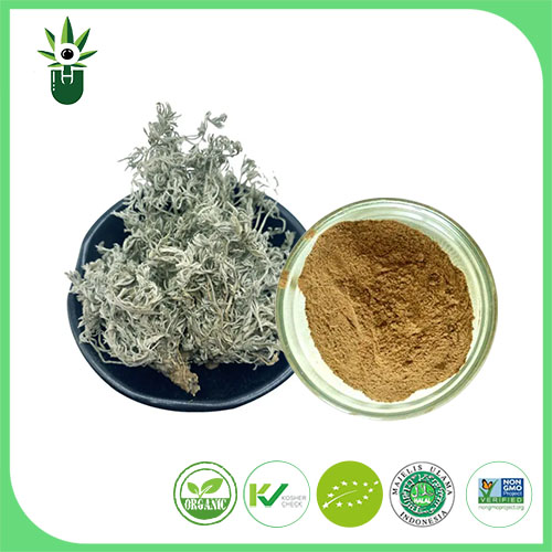 What are the synergistic effects of Artemisia Capillaris Thunb Extract when used in combination with other natural remedies?